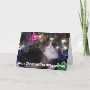 Cartes Pour Fêtes Annuelles Joyeux Noël, espèce d'animal sale, chat à l'aloès