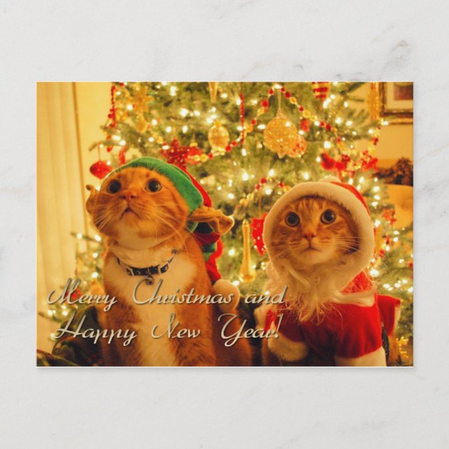 Cartes Pour Fêtes Annuelles joyeux noël et heureux nouvel an (Devant)