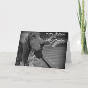 Cartes Pour Fêtes Annuelles Joyeux Noël et Houndays heureux - chien de