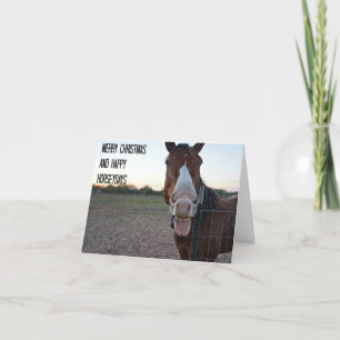 Cartes Pour Fêtes Annuelles Joyeux Noël et Joyeux Horseydays