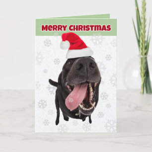 Cartes Pour Fêtes Annuelles Joyeux Noël, fougueux couteau de neige