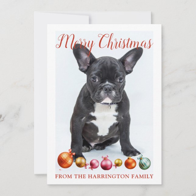 Cartes Pour Fêtes Annuelles Joyeux Noël Français Chien de taule (Devant)