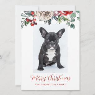 Cartes Pour Fêtes Annuelles Joyeux Noël Français Chien de taule