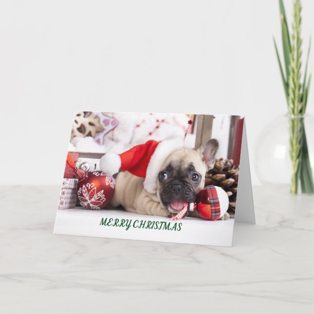 Cartes Pour Fêtes Annuelles Joyeux Noël French Bull (Devant)