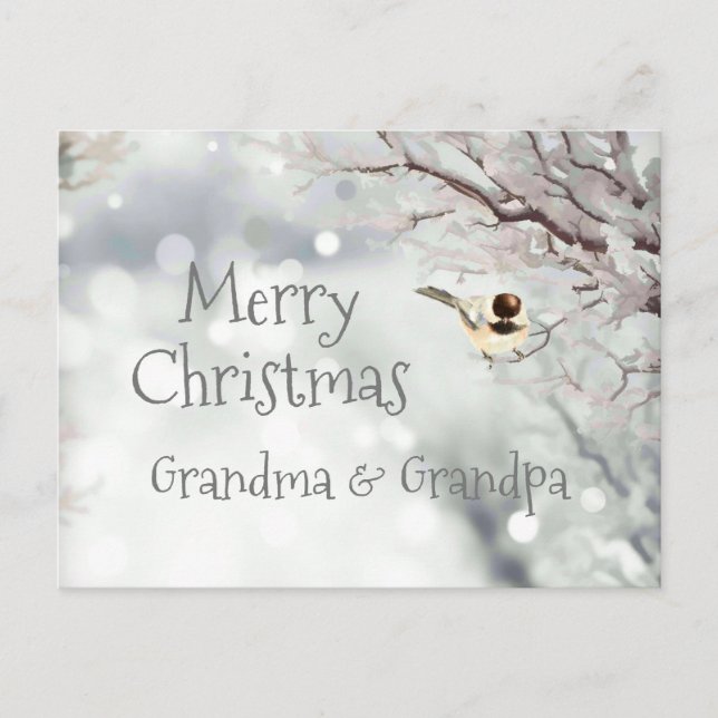 Cartes Pour Fêtes Annuelles Joyeux Noël Frost Oiseau (Devant)