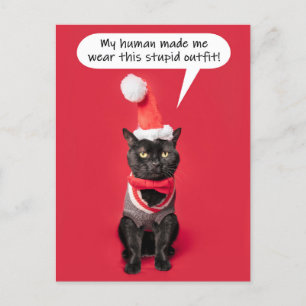 Cartes Pour Fêtes Annuelles Joyeux Noël Funny Chat en tenue de vacances