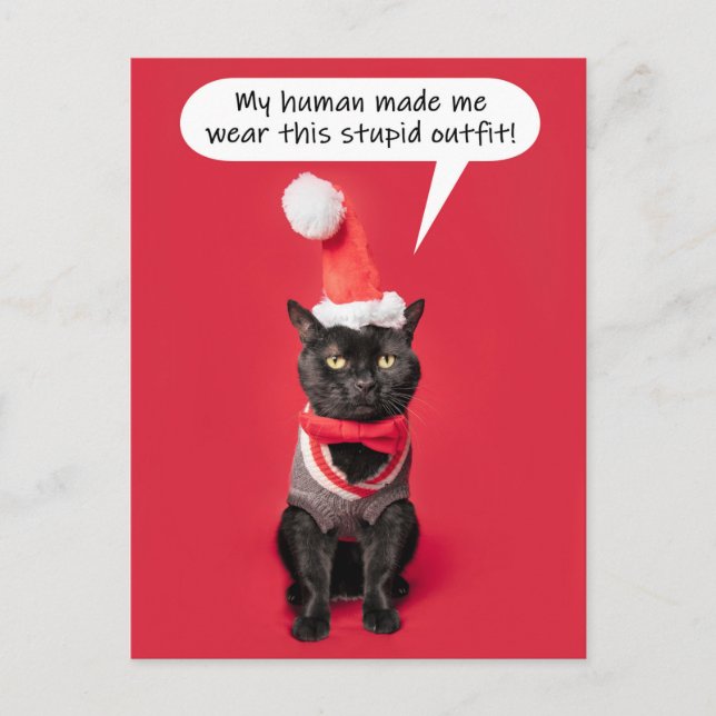 Cartes Pour Fêtes Annuelles Joyeux Noël Funny Chat en tenue de vacances (Devant)