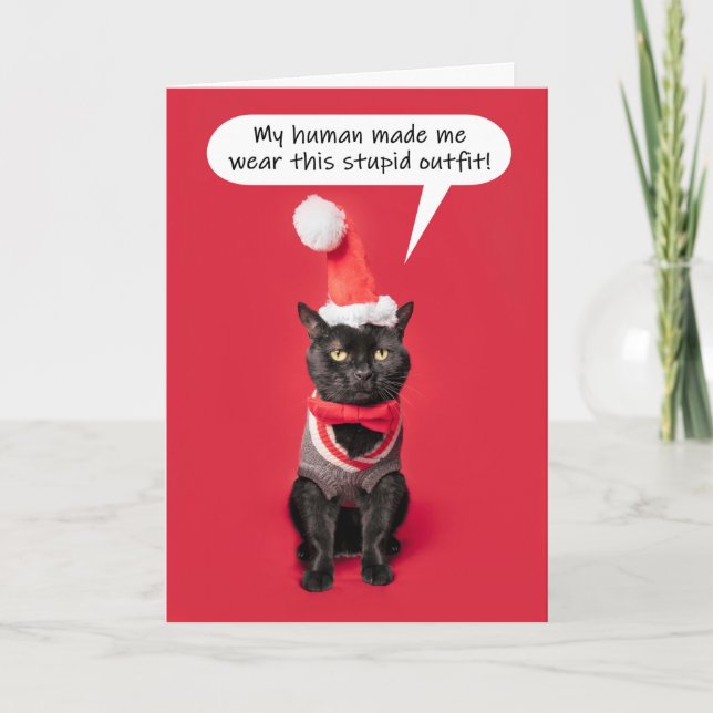 Cartes Pour Fêtes Annuelles Joyeux Noël Funny Chat en tenue de vacances (Devant)