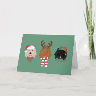Cartes Pour Fêtes Annuelles Joyeux Noël Goldendoodle Chiens