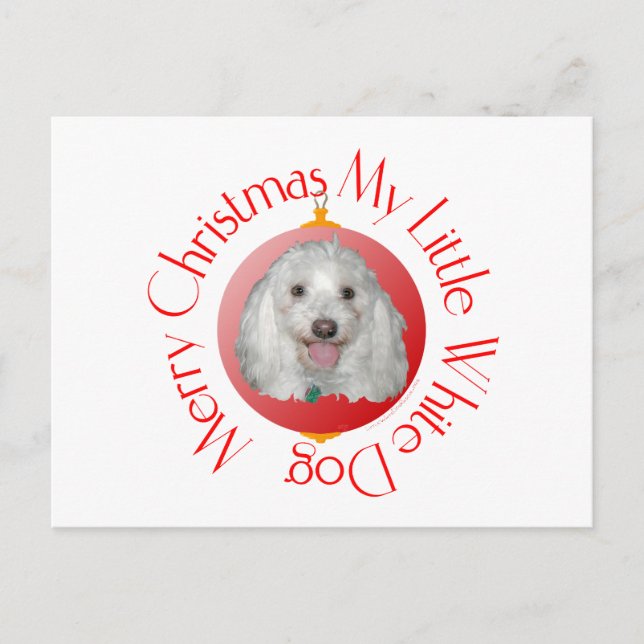 Cartes Pour Fêtes Annuelles Joyeux Noël Havanais (Devant)