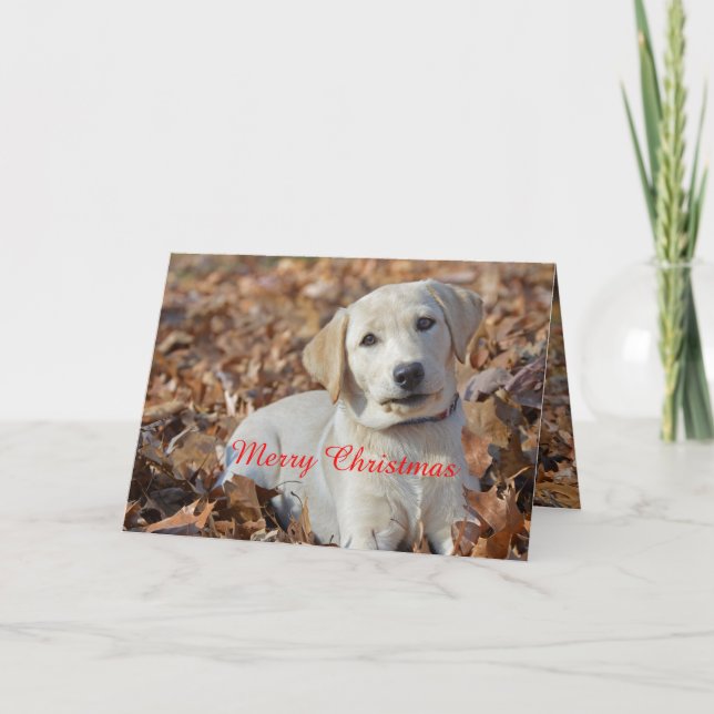 Cartes Pour Fêtes Annuelles Joyeux Noël Jaune Labrador Retriever (Devant)