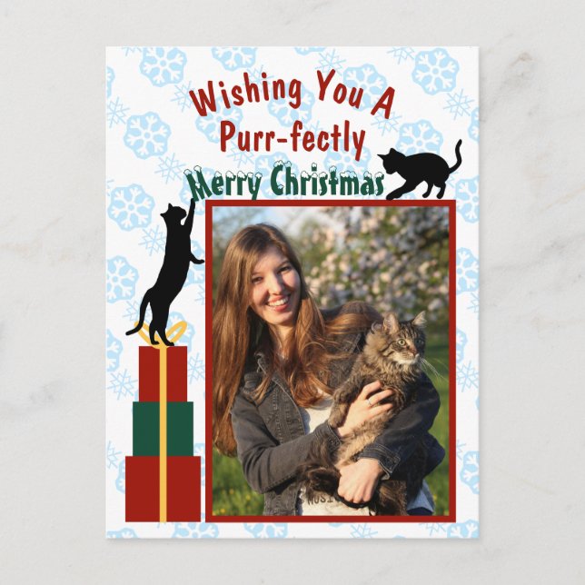 Cartes Pour Fêtes Annuelles Joyeux Noël Joyeux Kitties Photo (Devant)