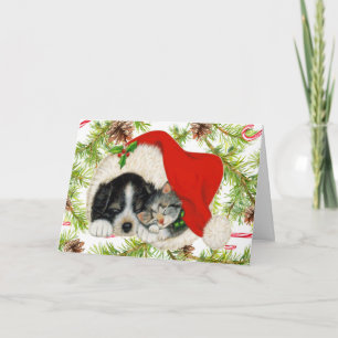 Cartes Pour Fêtes Annuelles Joyeux Noël Kitty Chat Chien Chien Chien Chien Per