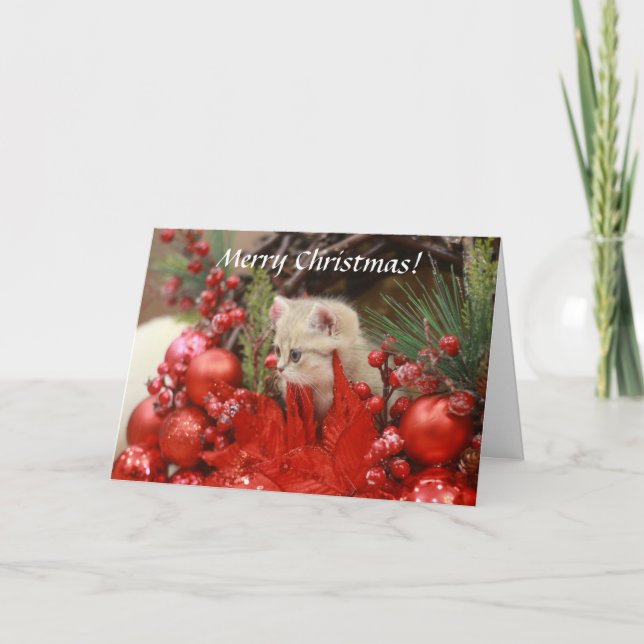 Cartes Pour Fêtes Annuelles Joyeux Noël Kitty Personnalisez votre salut Ho (Devant)