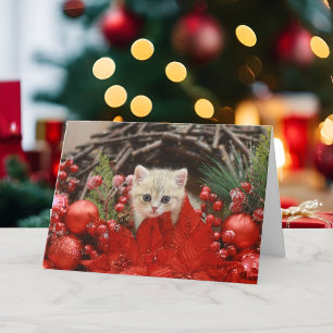Cartes Pour Fêtes Annuelles Joyeux Noël Kitty Personnalisez votre salutation