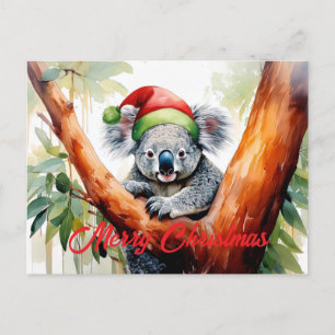 Cartes Pour Fêtes Annuelles Joyeux Noël Koala assis à Gumtree