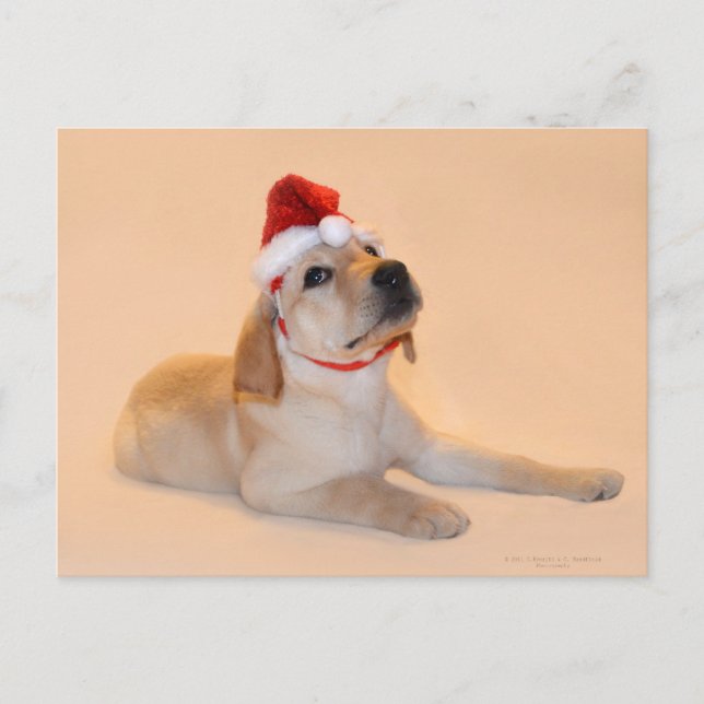 Cartes Pour Fêtes Annuelles Joyeux Noël - Laboratoire Jaune (Devant)
