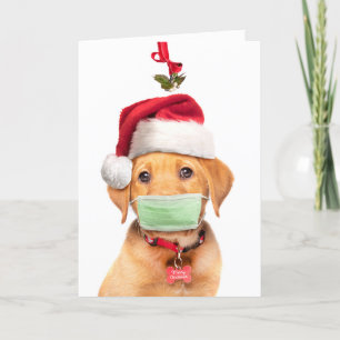Cartes Pour Fêtes Annuelles Joyeux Noël Labrador Chiot en Masque Visage et Sa