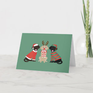 Cartes Pour Fêtes Annuelles Joyeux Noël Labrador Retriever Dogs