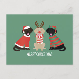 Cartes Pour Fêtes Annuelles Joyeux Noël Labrador Retriever Dogs