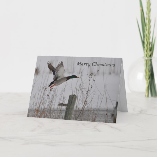 Cartes Pour Fêtes Annuelles Joyeux Noël Mallard Duck Card par Janz (Devant)