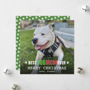 Cartes Pour Fêtes Annuelles Joyeux Noël Maman Chien De La Part Du Chien Photo