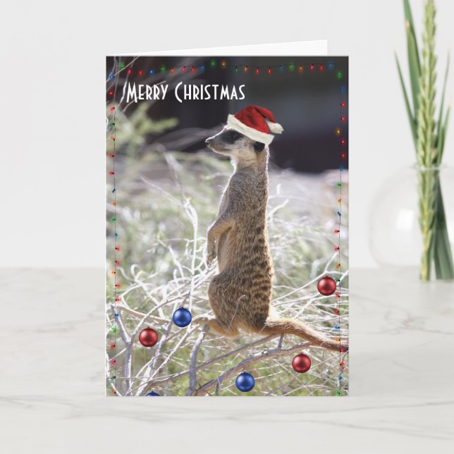 Cartes Pour Fêtes Annuelles Joyeux Noël Meerkat (Devant)