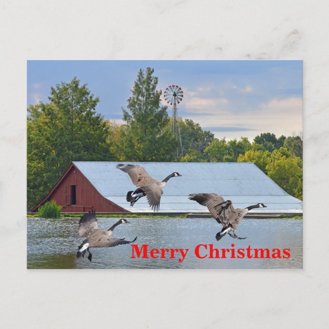 Cartes Pour Fêtes Annuelles Joyeux Noël Oies Du Canada Atterrissant Sur L'Étan (Devant)