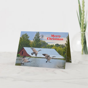Cartes Pour Fêtes Annuelles Joyeux Noël Oies Du Canada Atterrissant Sur L'Étan