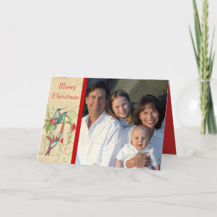 Cartes Pour Fêtes Annuelles Joyeux Noël Oiseaux Vintages Votre famille Photo