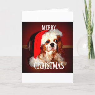 Cartes Pour Fêtes Annuelles joyeux noël père noël cav