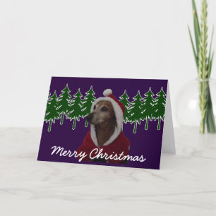 Cartes Pour Fêtes Annuelles Joyeux Noël Père Noël Dachsund