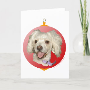 Cartes Pour Fêtes Annuelles Joyeux Noël Petit Chien Blanc Caniche / Bichon