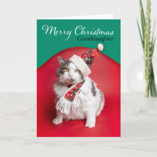 Cartes Pour Fêtes Annuelles Joyeux Noël Petite-fille Cute Chat en Casquette