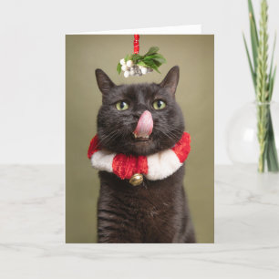 Cartes Pour Fêtes Annuelles Joyeux Noël pour tous Chat sous Mistletoe avec