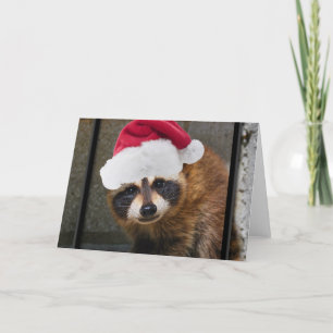 Cartes Pour Fêtes Annuelles Joyeux Noël Raccoon