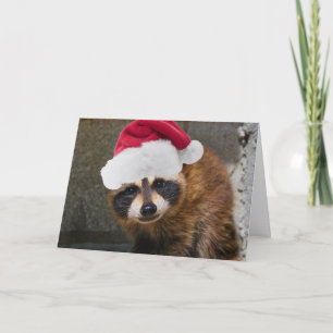 Cartes Pour Fêtes Annuelles Joyeux Noël Raccoon