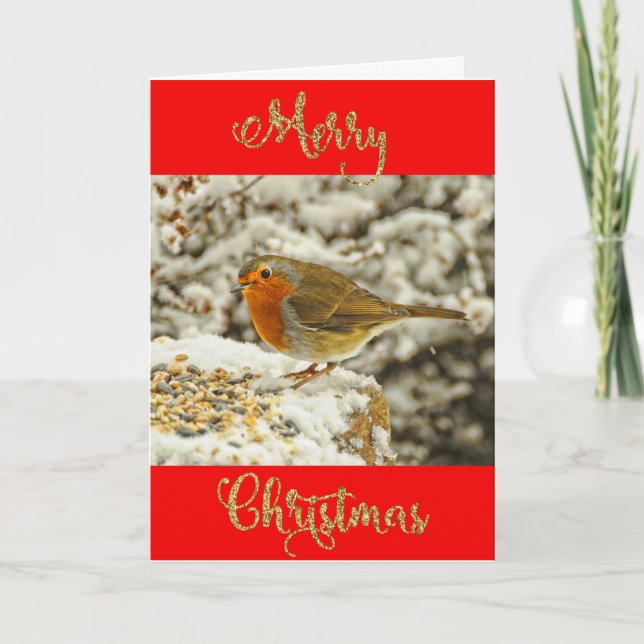 Cartes Pour Fêtes Annuelles Joyeux Noël Robin en photo de neige (Devant)