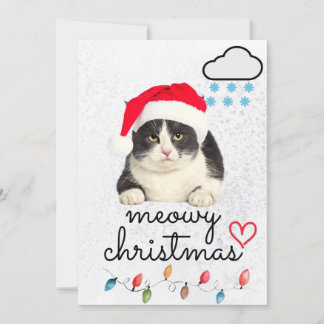 Cartes Pour Fêtes Annuelles Joyeux Noël Santa Chat