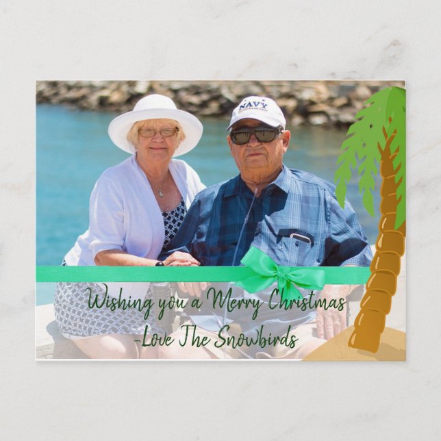 Cartes Pour Fêtes Annuelles Joyeux Noël Snowbird Funny Palm Tree Card (Devant)