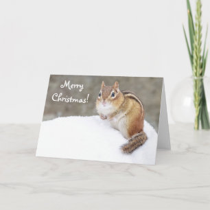 Cartes Pour Fêtes Annuelles Joyeux Noël Snowy Chipmunk