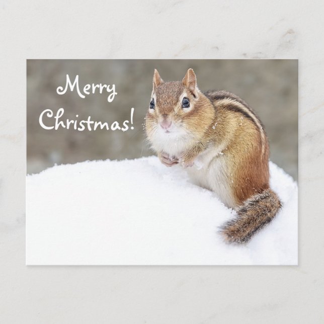 Cartes Pour Fêtes Annuelles Joyeux Noël Snowy Chipmunk (Devant)