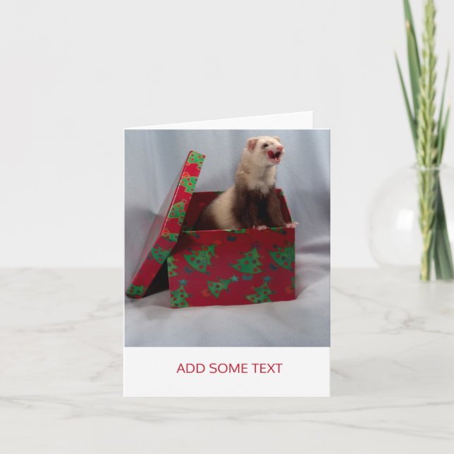Cartes Pour Fêtes Annuelles Joyeux Noël - Surprise Ferret (Devant)