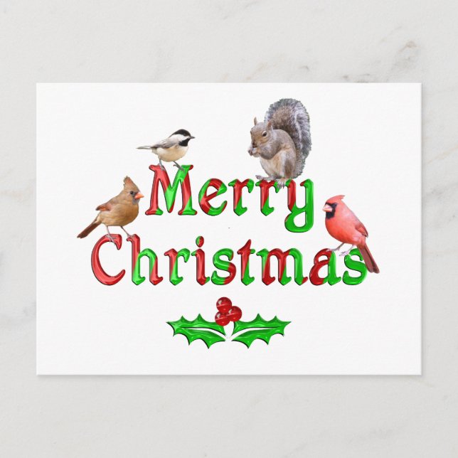 Cartes Pour Fêtes Annuelles Joyeux Oiseaux de Noël et écureuil (Devant)