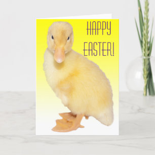 Cartes Pour Fêtes Annuelles Joyeux Pâques adorable Jaune Duckling photo