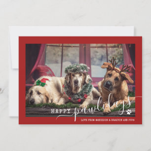 Cartes Pour Fêtes Annuelles Joyeux Pawlidays Chien Rouge Photo de Noël
