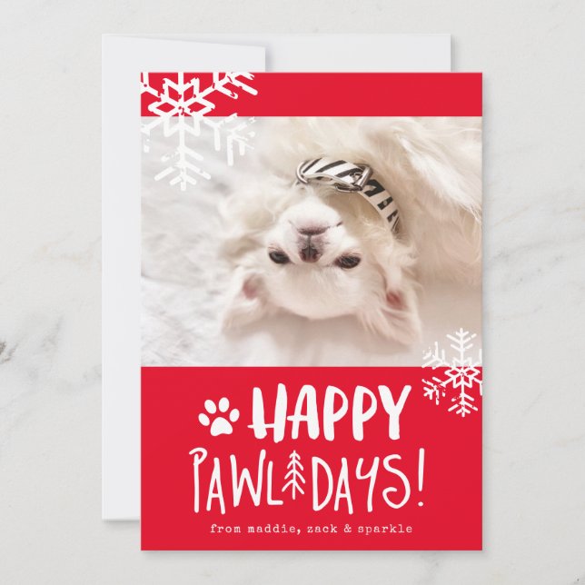 Cartes Pour Fêtes Annuelles Joyeux Pawlidays | Pet Photo Holiday Card (Devant)