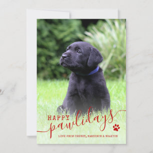 Cartes Pour Fêtes Annuelles Joyeux Pawlidays Photo de chien Noël Moderne Anima