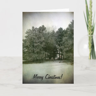 Cartes Pour Fêtes Annuelles Joyeux pins de Noël dans le parc