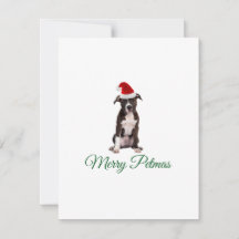 Joyeux pitbull de Noël